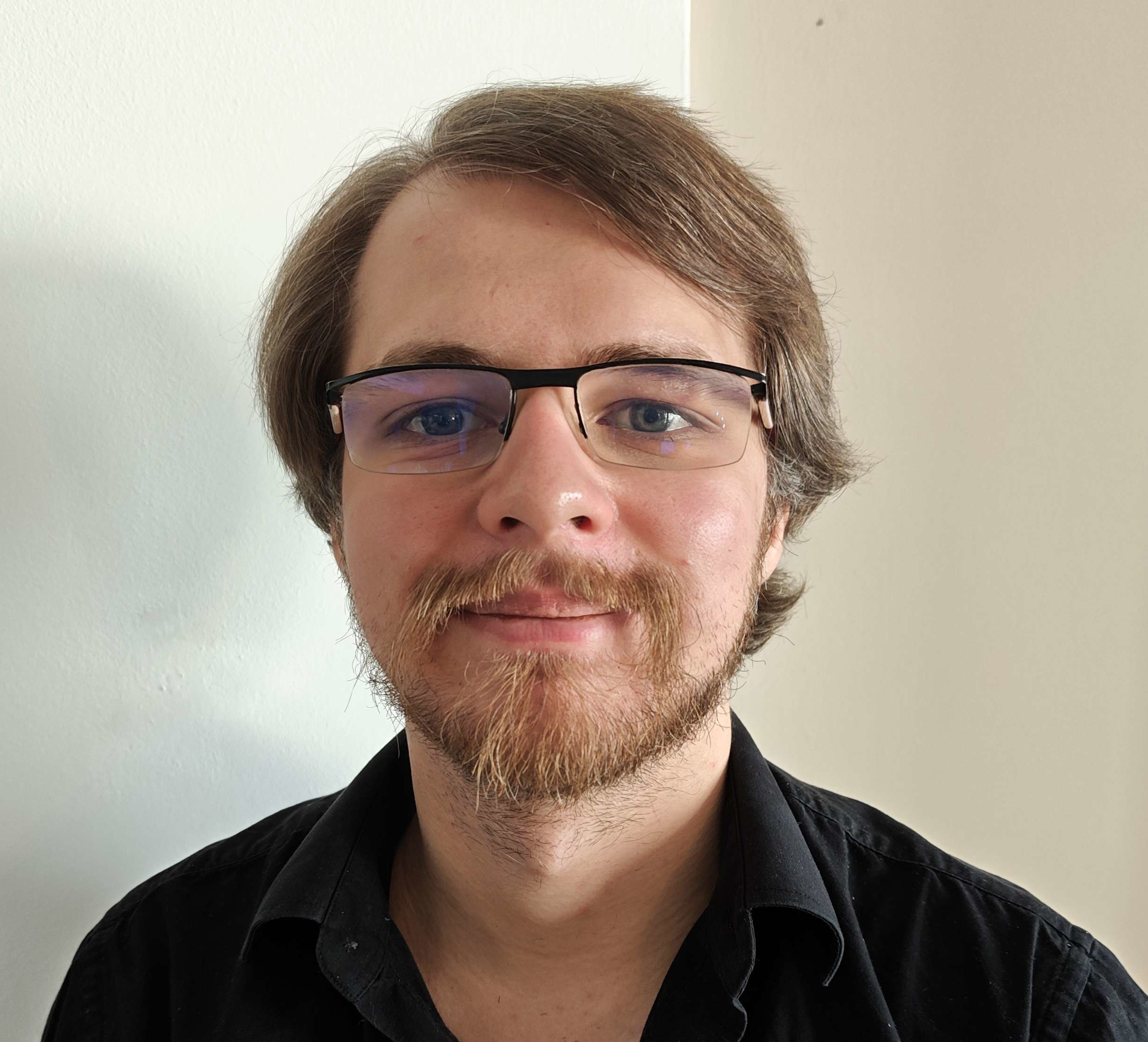 Schematic Picture of Michael